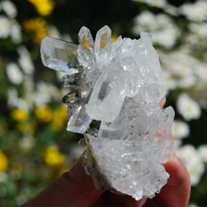 Chlorite Quartz Crystal Cluster, Corinto Brazil