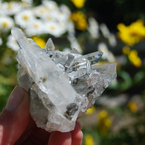Isis Face Chlorite Optical Quartz Crystal Cluster, Corinto, Brazil