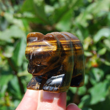 Load image into Gallery viewer, 2in Tiger&#39;s Eye Carved Crystal Bear
