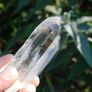 Transmitter Blades of Light Lemurian Crystal, Optical Quartz, La Belleza, Santander, Colombia