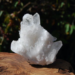 Transmitter Sugar Quartz Crystal Cluster