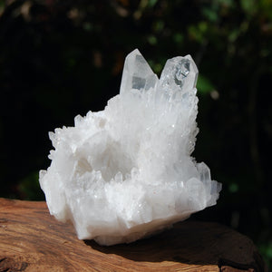 Transmitter Sugar Quartz Crystal Cluster