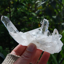 Load image into Gallery viewer, Transmitter Lemurian Quartz Crystal Cluster
