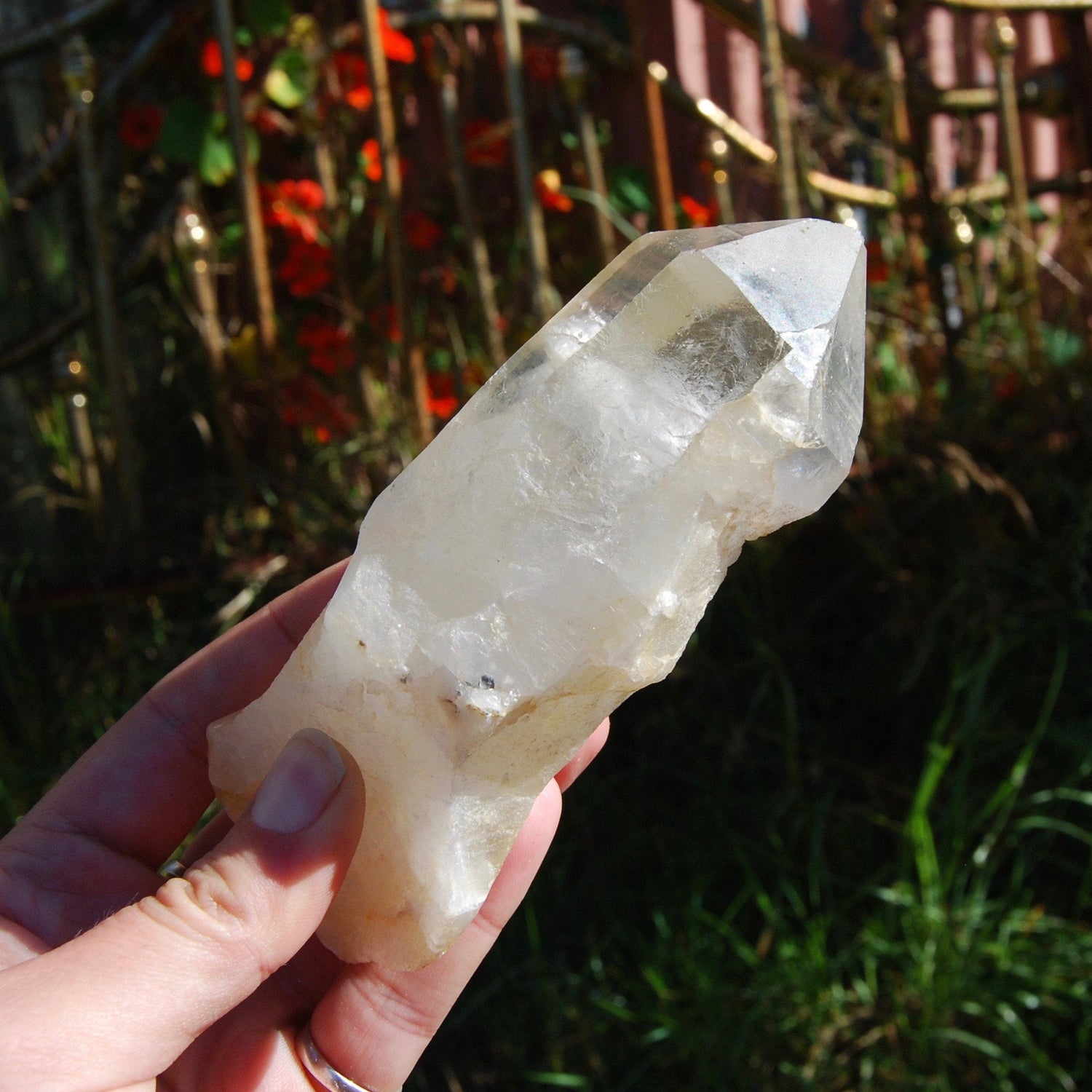 Golden Healer Lemurian Seed Quartz Crystal with Inner Child Manifestation and Lithium 388 gram 5.25"