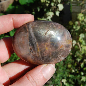 Black Moonstone Polished Crystal Palm Stone 2.25-2.5" 