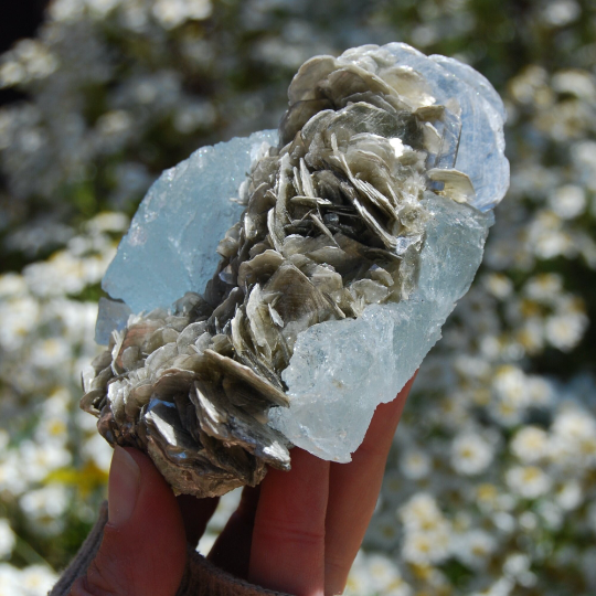 aquamarine crystal, aquamarine stone, aquamarine gemstone, raw aquamarine, polished aquamarine, aquamarine jewelry, aquamarine meaning, aquamarine healing properties, blue aquamarine, aquamarine tumbled stone, buy aquamarine crystal, aquamarine for sale