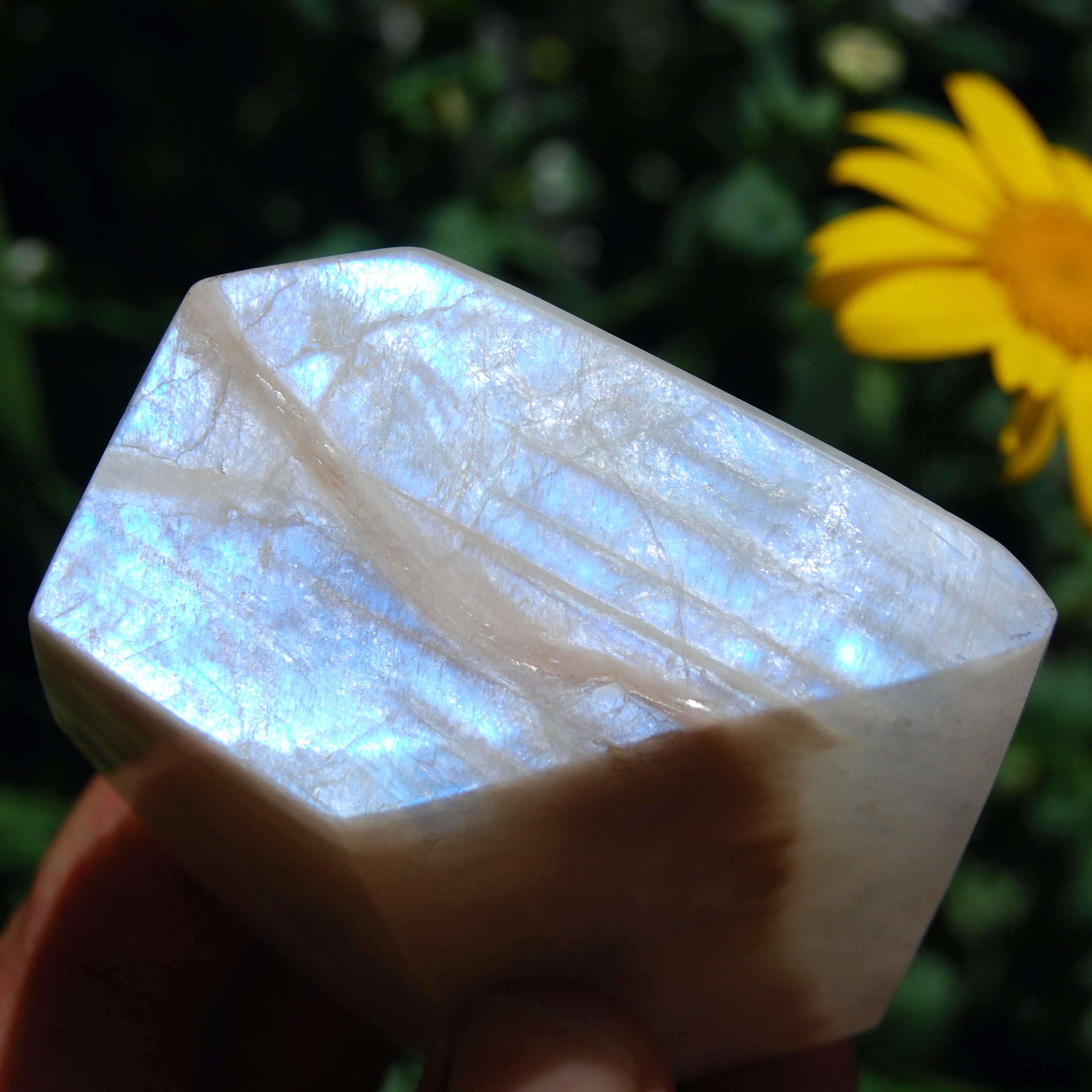 moonstone crystal, moonstone stone, moonstone gemstone, rainbow moonstone, peach moonstone, white moonstone, moonstone meaning, moonstone healing properties, moonstone jewelry, buy moonstone crystal, moonstone for sale, moonstone intuition stone