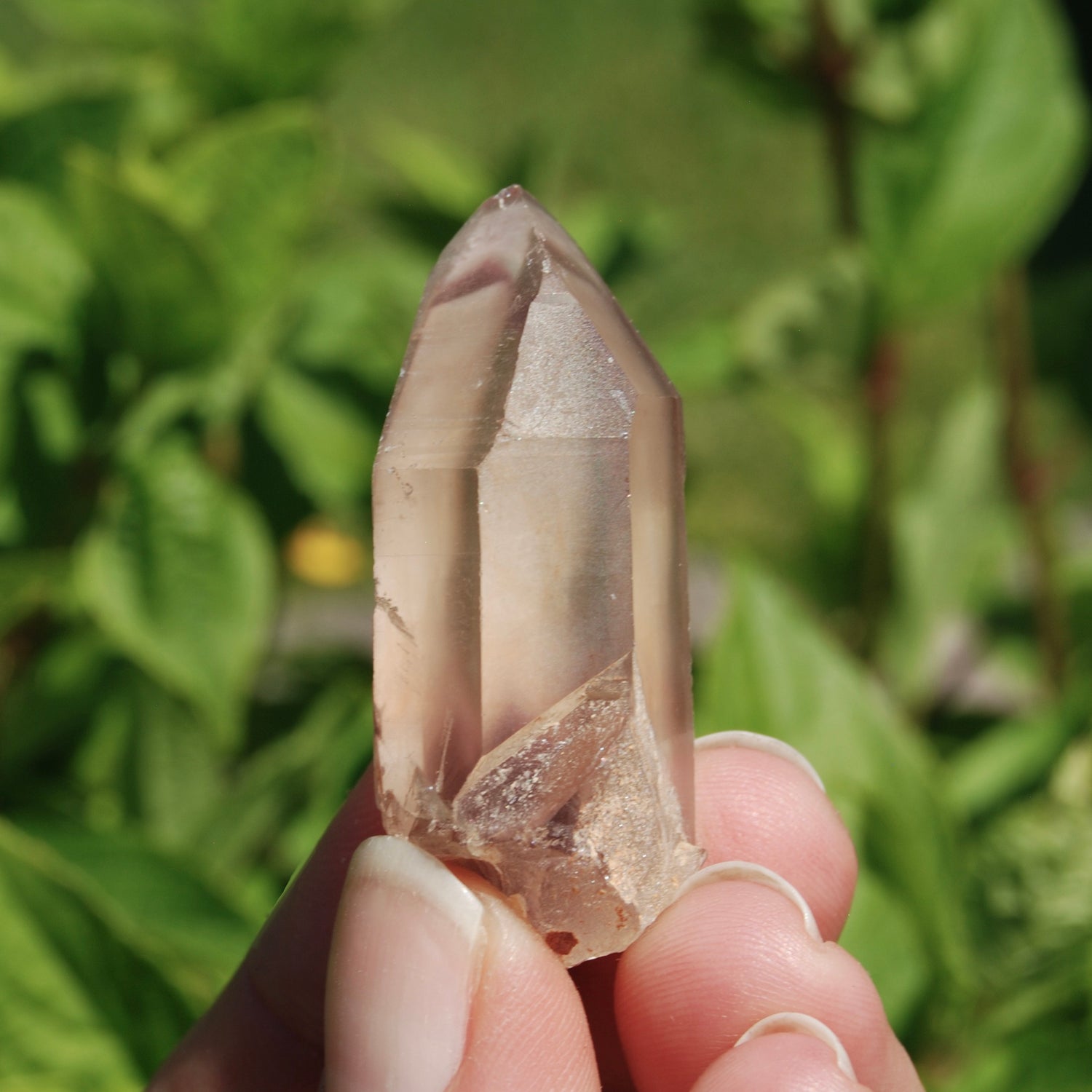 Pink Lithium Lemurian Quartz Crystal 