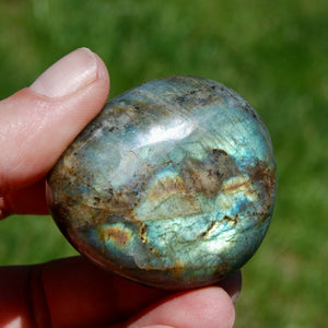 Spectrolite Labradorite Crystal Palm Stone, Rainbow Labradorite