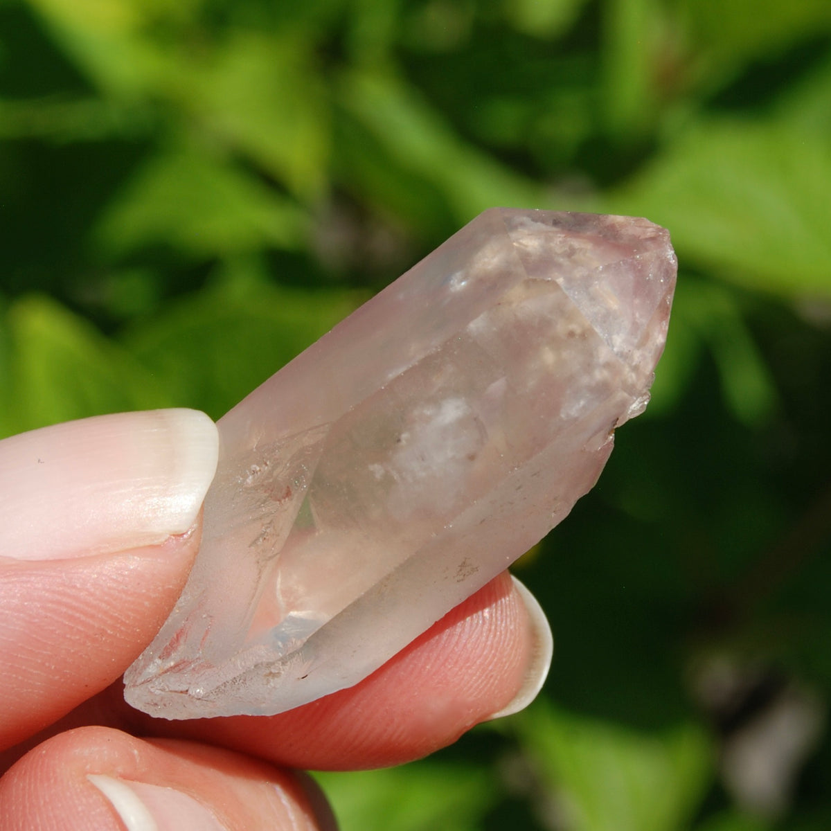 Pink Lithium Lemurian Quartz Crystal Starbrary