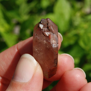 Pink Lithium Lemurian Quartz Crystal