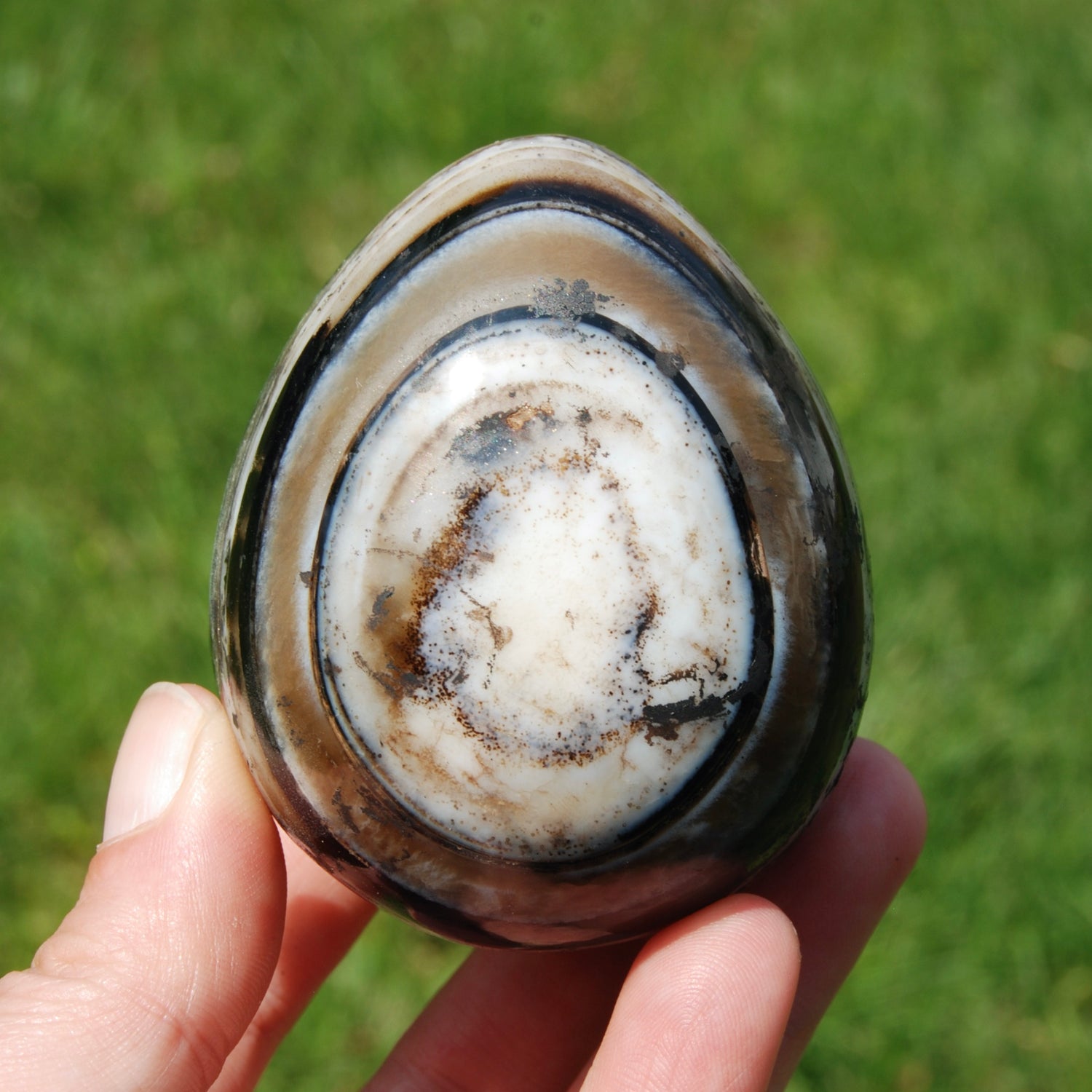 Sulemani 'Eye of Shiva' Banded Sardonyx Crystal Egg