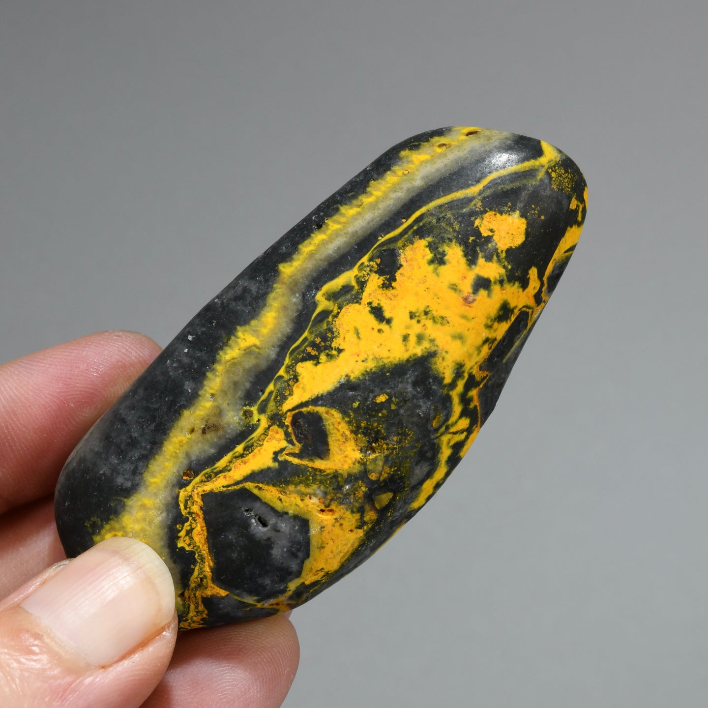 Bumblebee Jasper Crystal Palm Stone