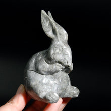 Load image into Gallery viewer, Grey Jade Rabbit Crystal Carving
