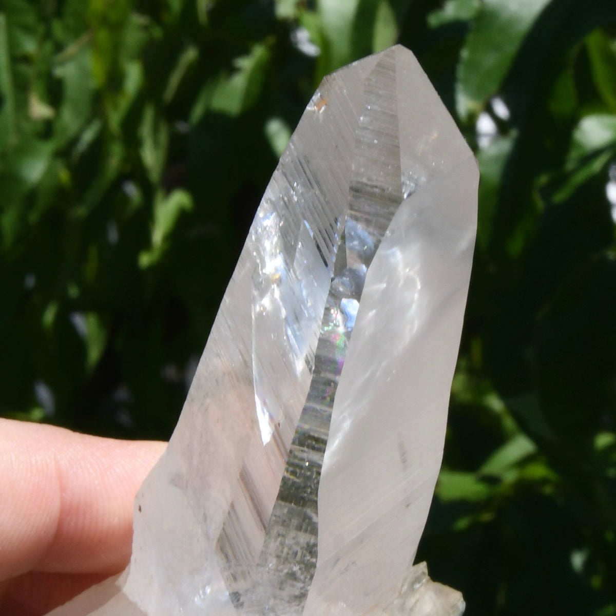 Rare Cross Colombian Lemurian Seed Quartz Crystal Laser Starbrary