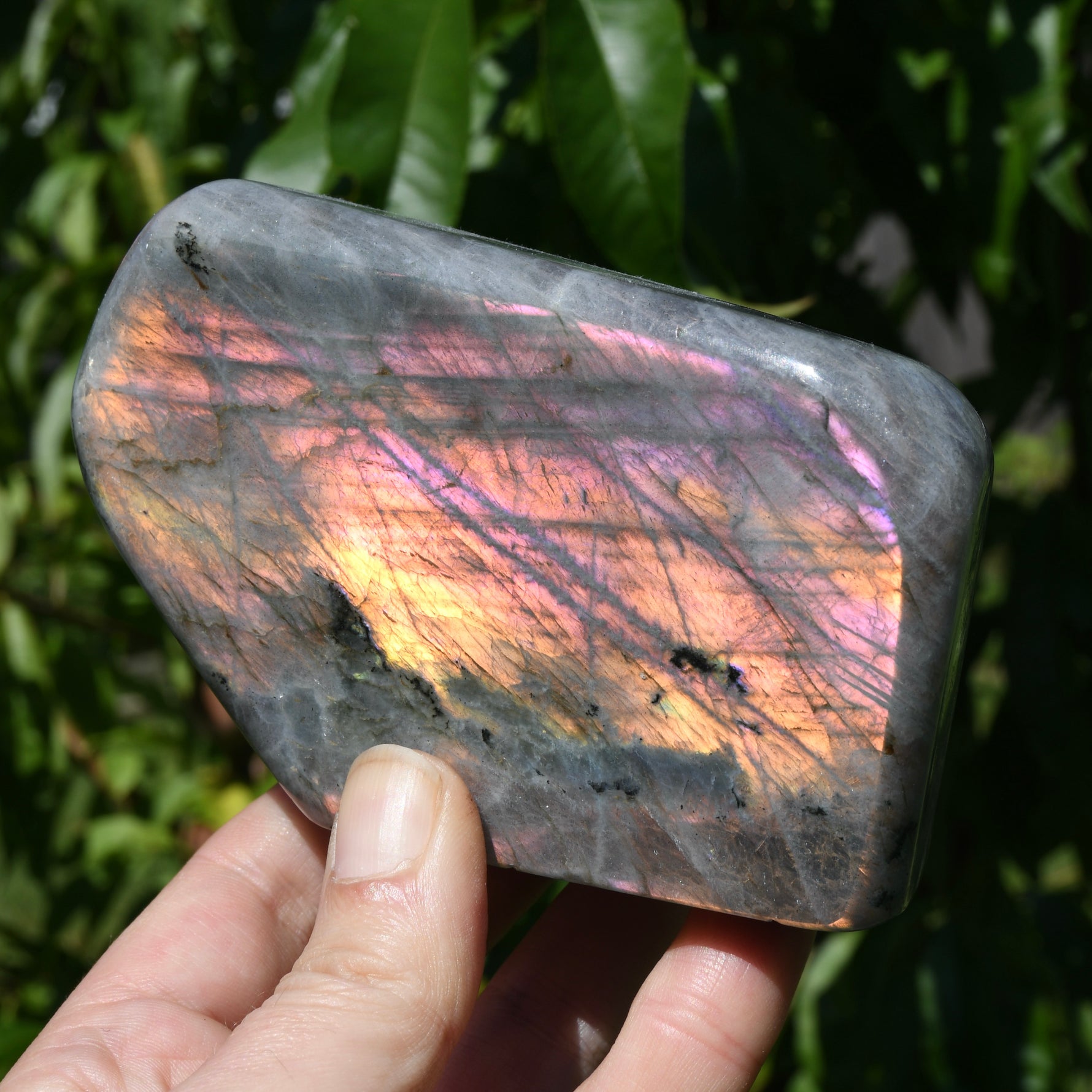 Purple Labradorite Crystal Freeform Tower