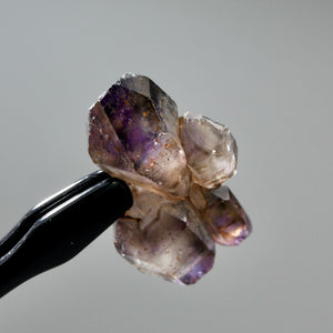DT ET Elestial Shangaan Amethyst Quartz Crystal Scepter