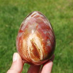 Red Petrified Wood Egg, Madagascar
