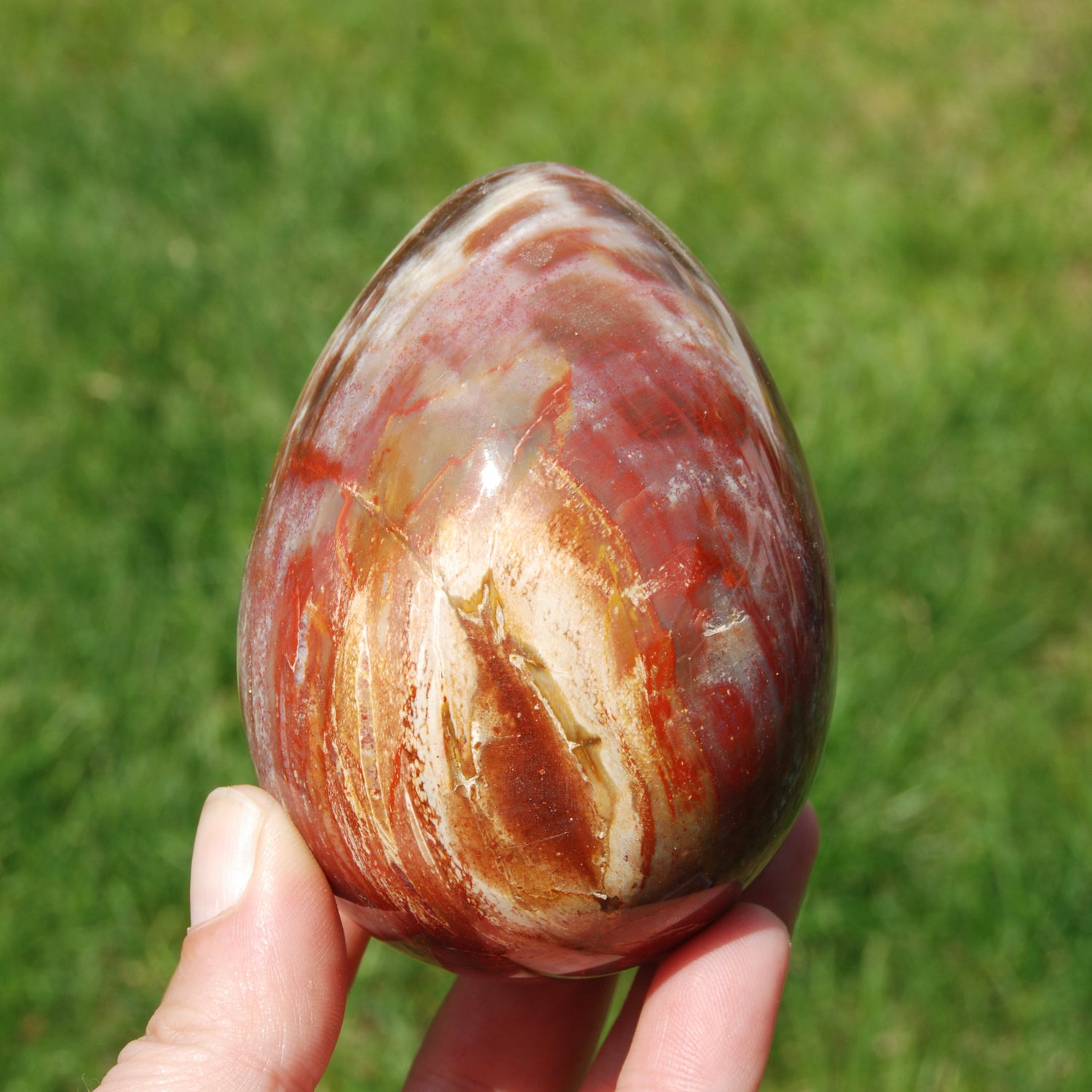 Red Petrified Wood Egg, Madagascar