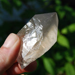 Smoky Lemurian Seed Quartz Crystal Starbrary