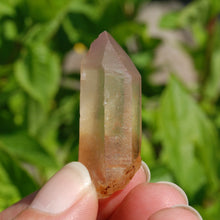 Load image into Gallery viewer, Pink Lithium Scarlet Temple Lemurian Quartz Crystal Starbrary
