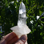 Rare Cross Colombian Lemurian Seed Quartz Crystal Laser Starbrary, Boyaca