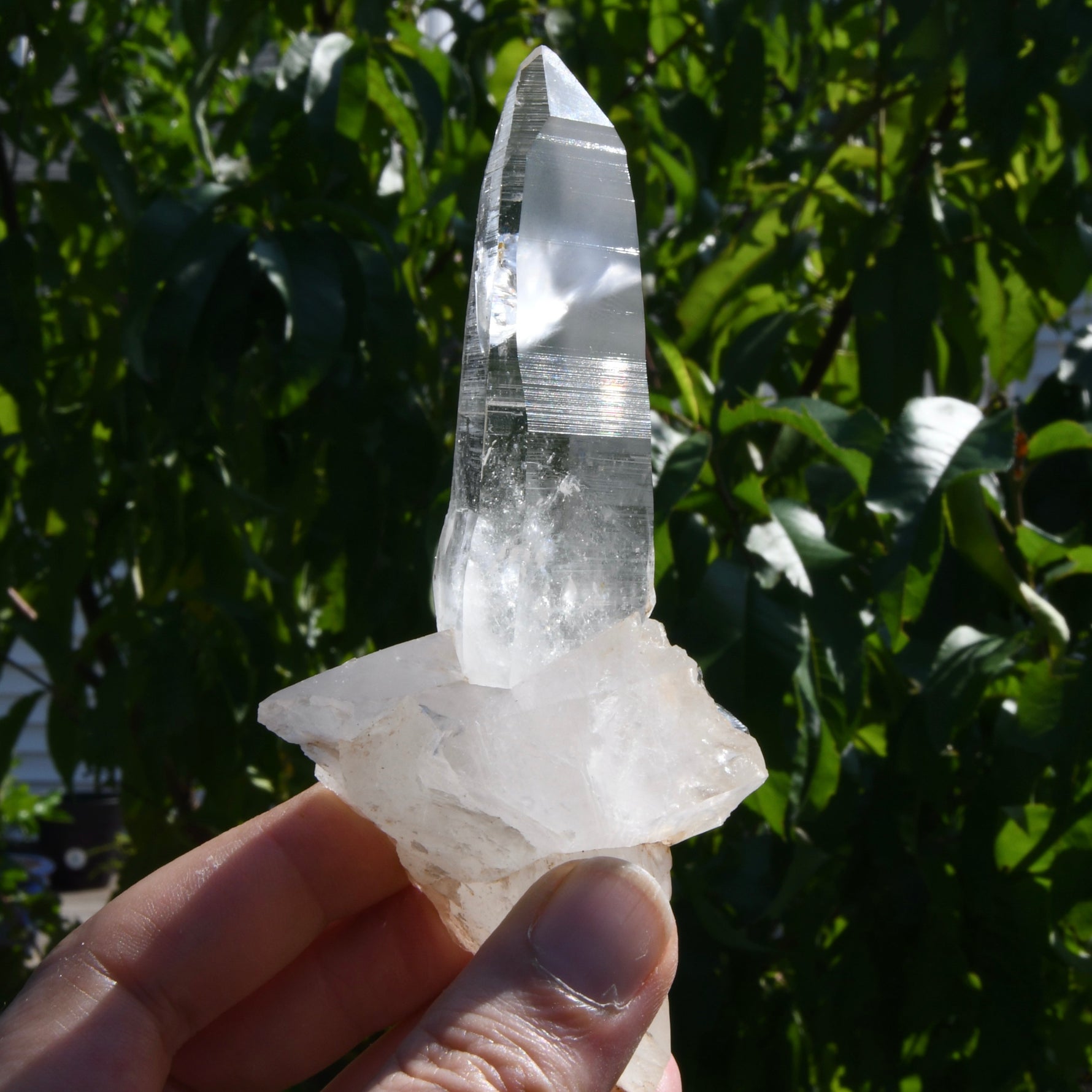Rare Cross Colombian Lemurian Seed Quartz Crystal Laser Starbrary, Boyaca