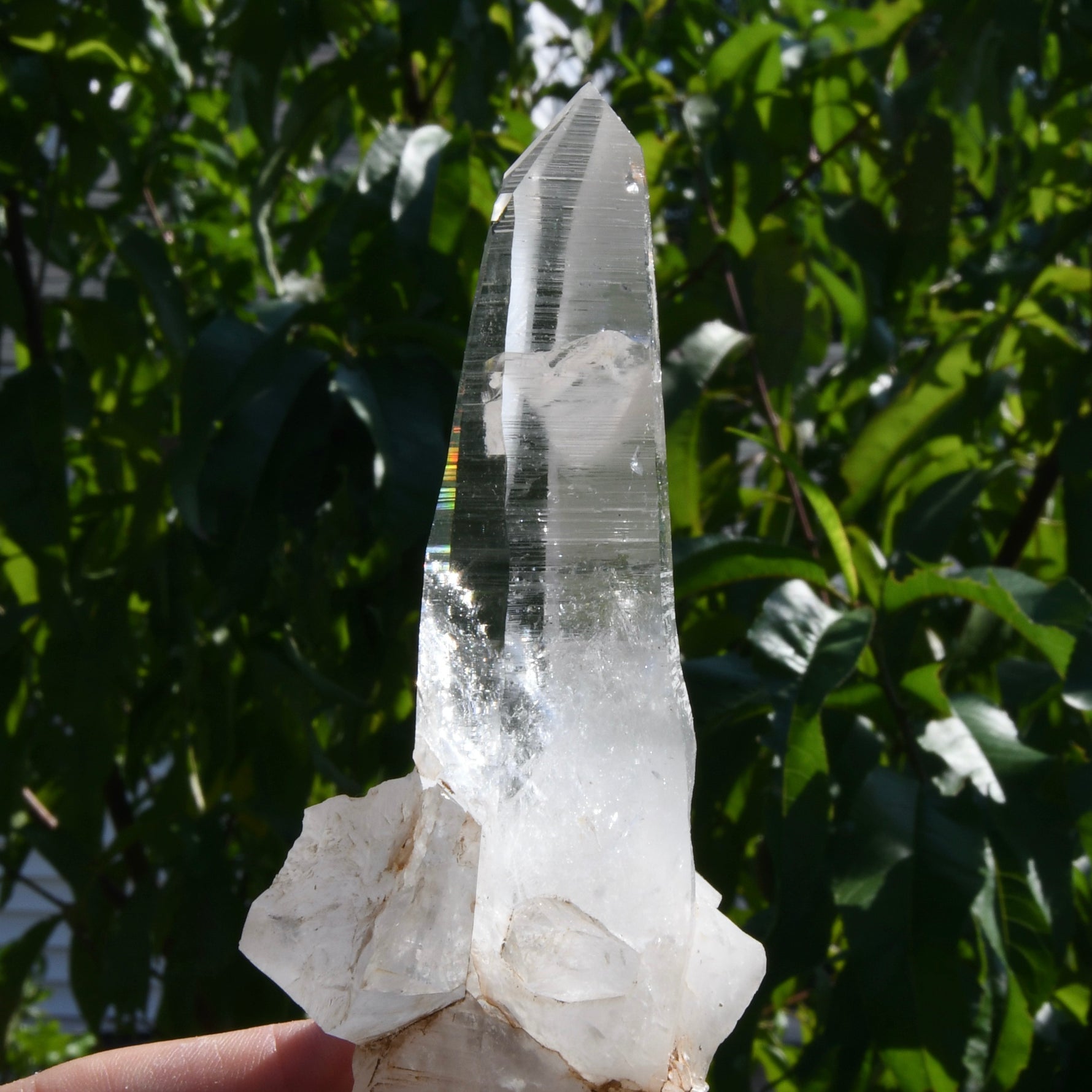 Rare Cross Colombian Lemurian Seed Quartz Crystal Laser Starbrary, Boyaca