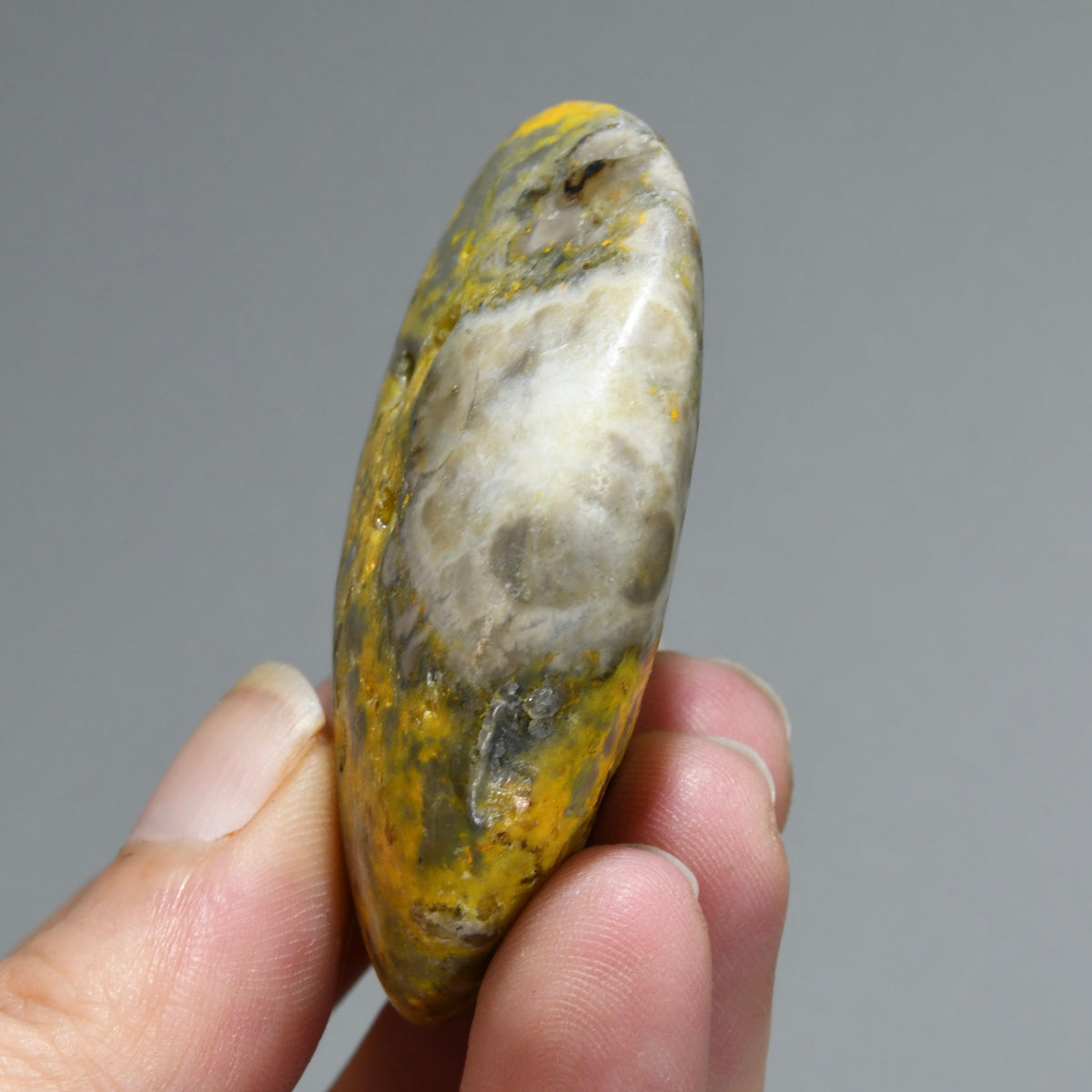 Bumblebee Jasper Crystal Palm Stone, Indonesia