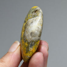 Load image into Gallery viewer, Bumblebee Jasper Crystal Palm Stone, Indonesia
