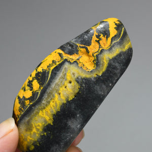 Bumblebee Jasper Crystal Palm Stone