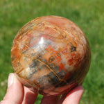 Petrified Wood Crystal Sphere