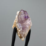 DT Elestial Shangaan Amethyst Quartz Crystal