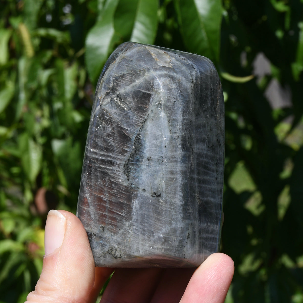 Purple Labradorite Crystal Freeform