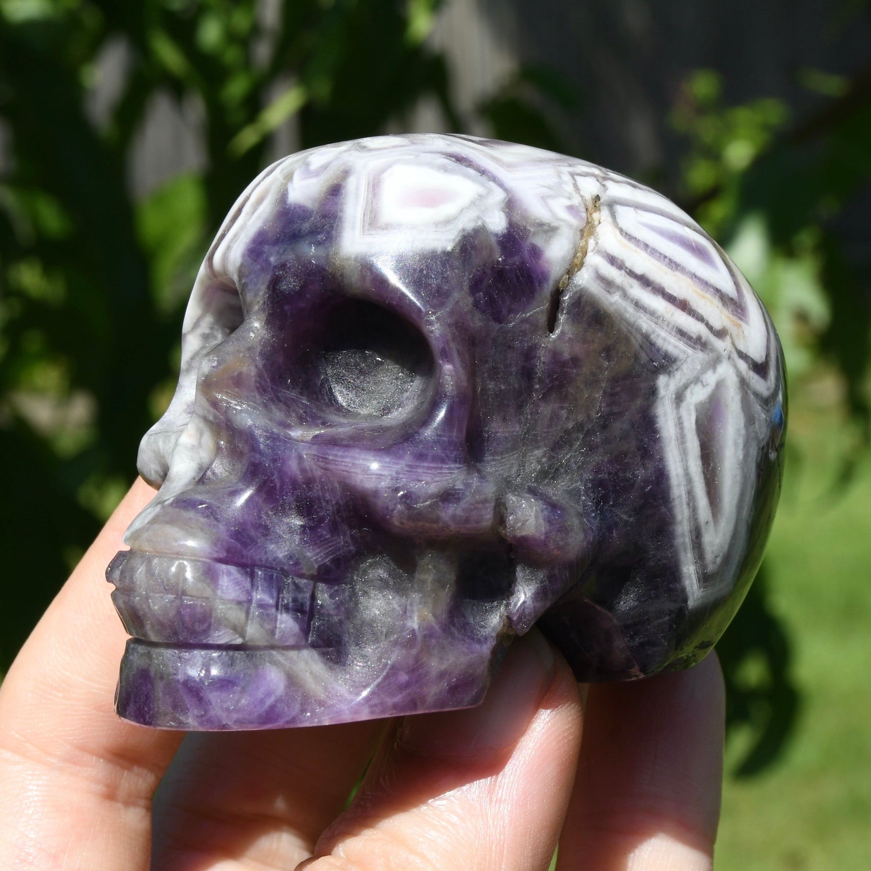 Chevron Dream Amethyst Crystal Skull