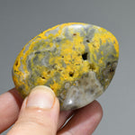 Bumblebee Jasper Crystal Palm Stone, Indonesia