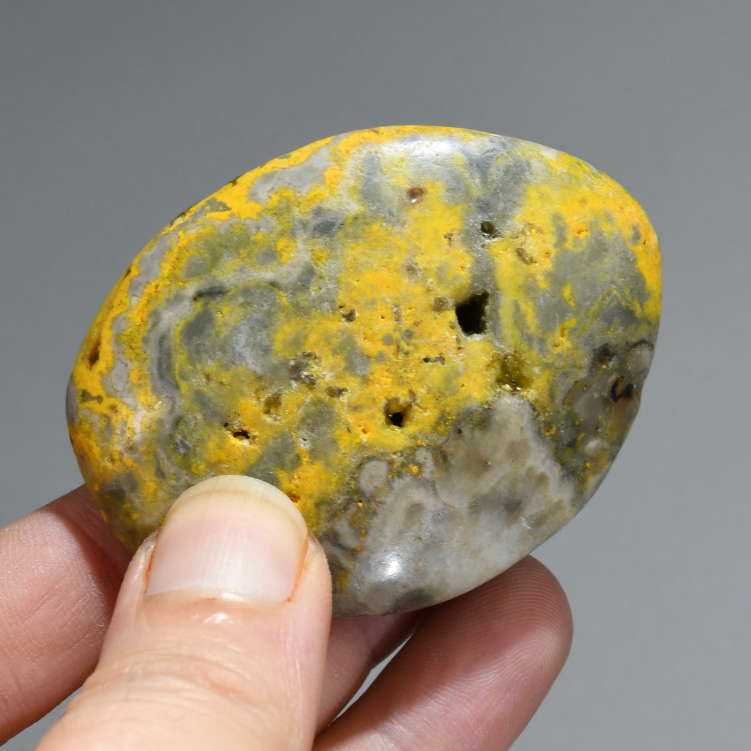 Bumblebee Jasper Crystal Palm Stone, Indonesia