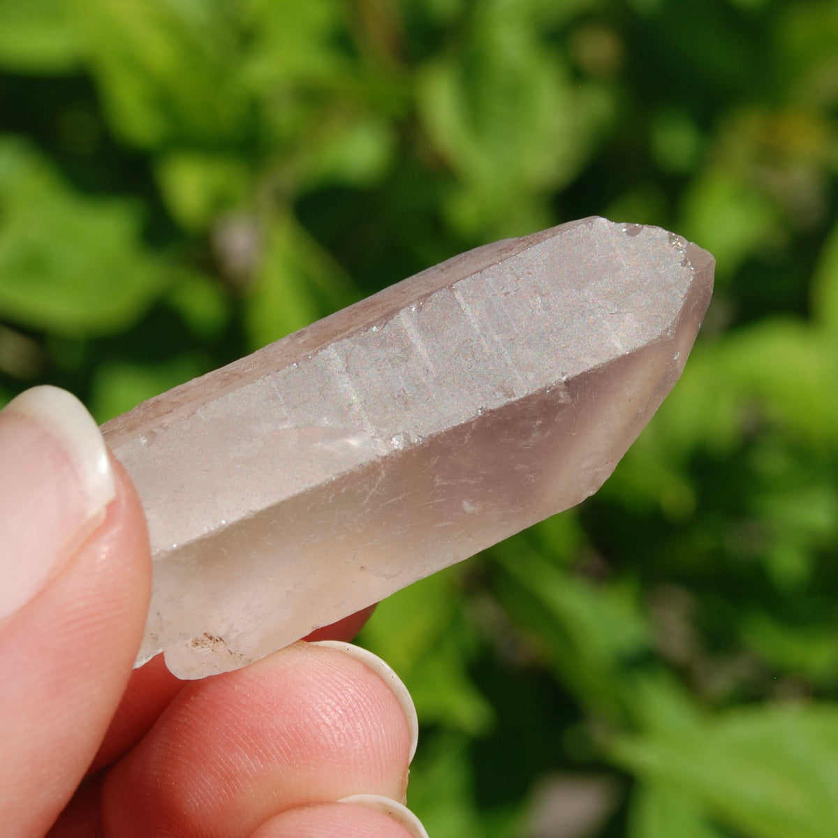 Pink Lithium Lemurian Quartz Crystal Dreamsicle