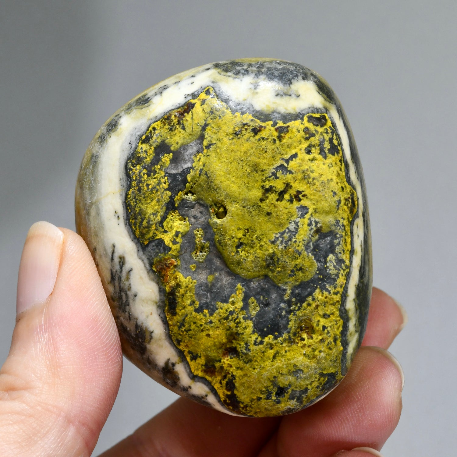 Bumblebee Jasper Crystal Palm Stone, Indonesia