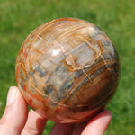 Petrified Wood Crystal Sphere
