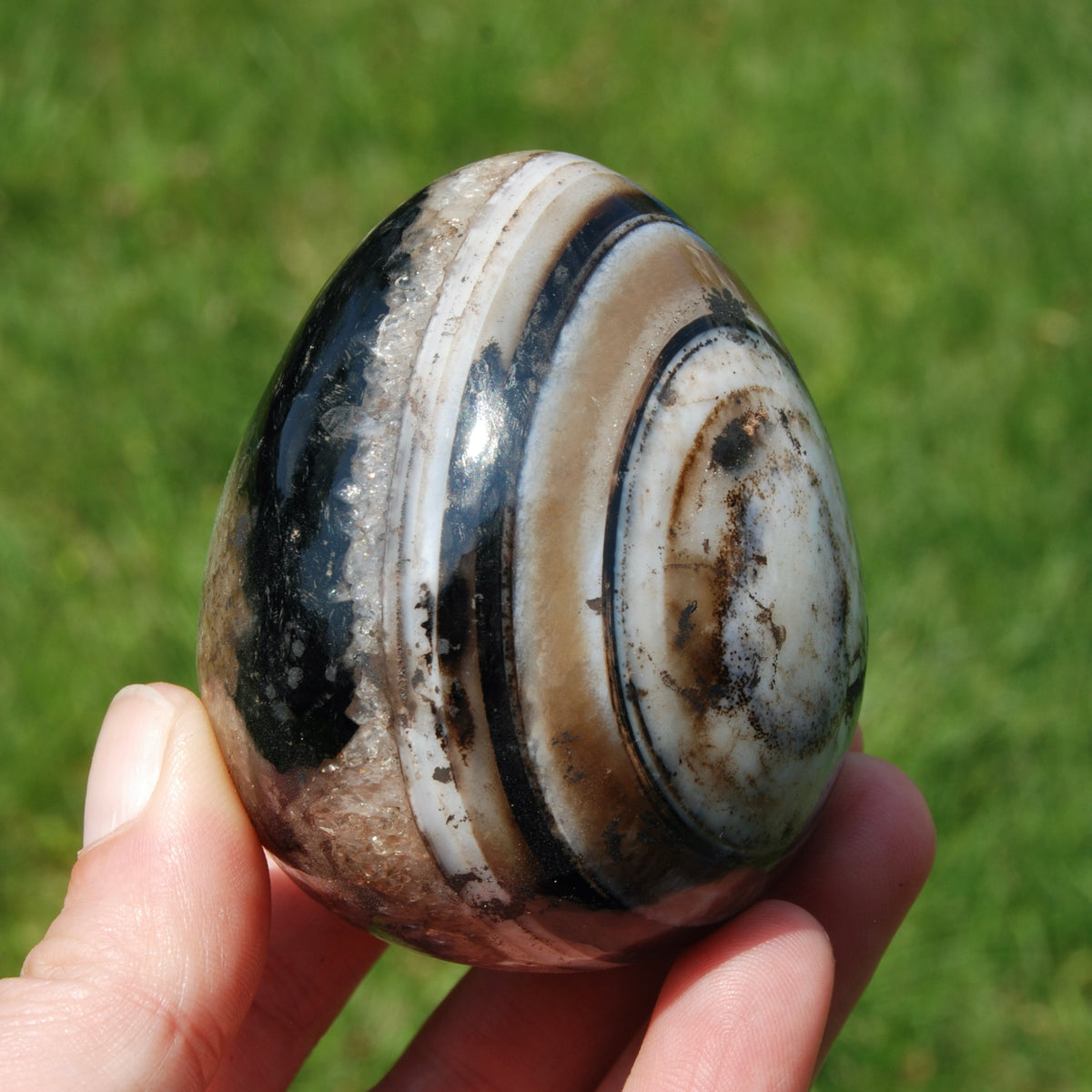 Sulemani 'Eye of Shiva' Banded Sardonyx Crystal Egg