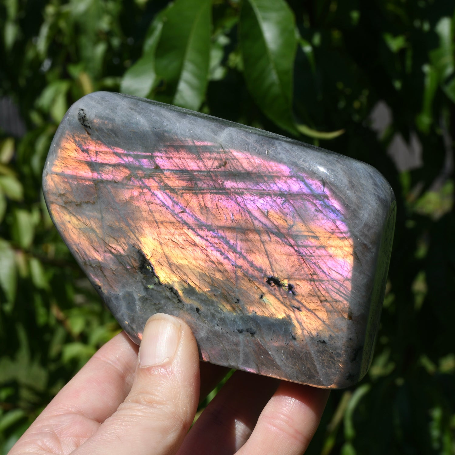  Purple Labradorite Crystal Freeform Tower