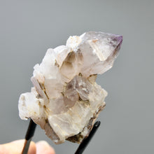 Load image into Gallery viewer, Shangaan Amethyst Quartz Crystal Scepter Cluster
