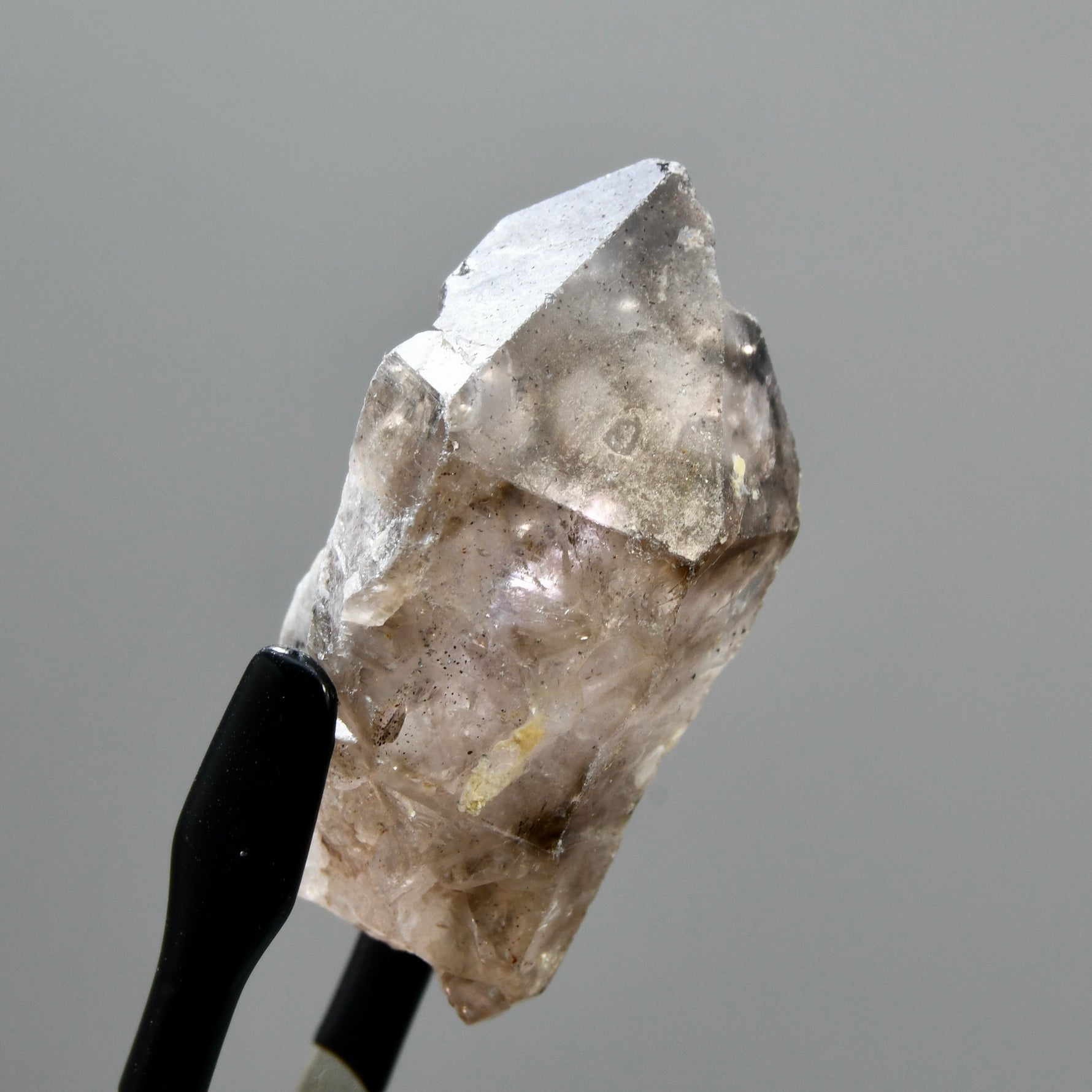 DT Elestial Shangaan Amethyst Quartz Crystal Scepter