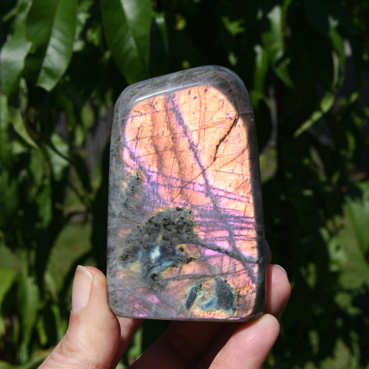 Purple Labradorite Crystal Freeform