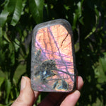 Purple Labradorite Crystal Freeform