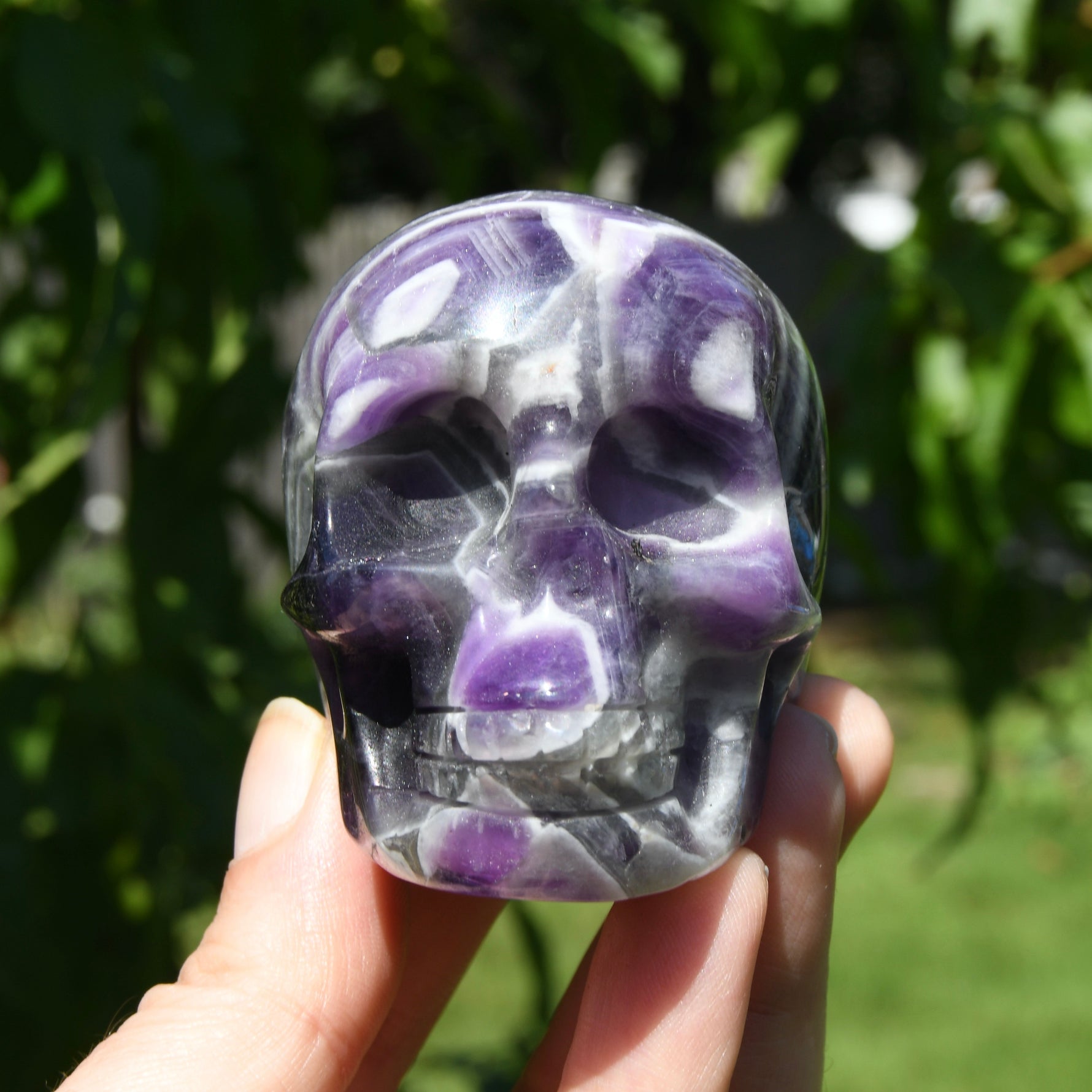 Chevron Dream Amethyst Crystal Skull
