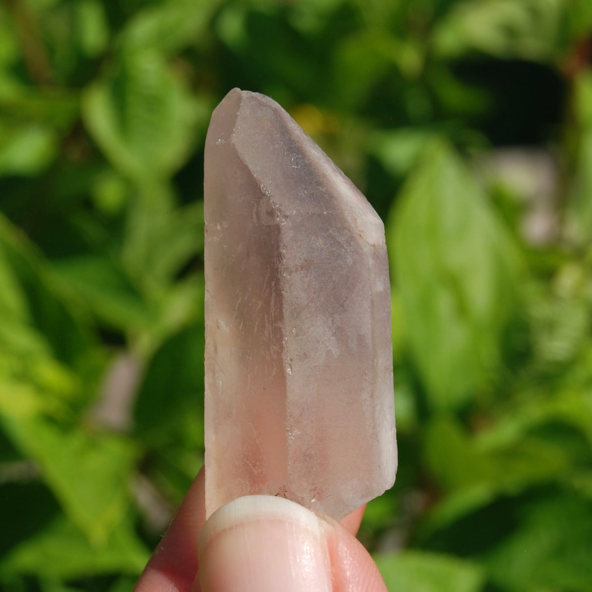 Pink Lithium Lemurian Quartz Crystal Dreamsicle