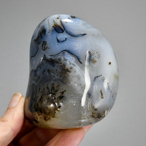 Dendritic Agate Crystal Palm Stone, Picture Agate, Landscape Agate