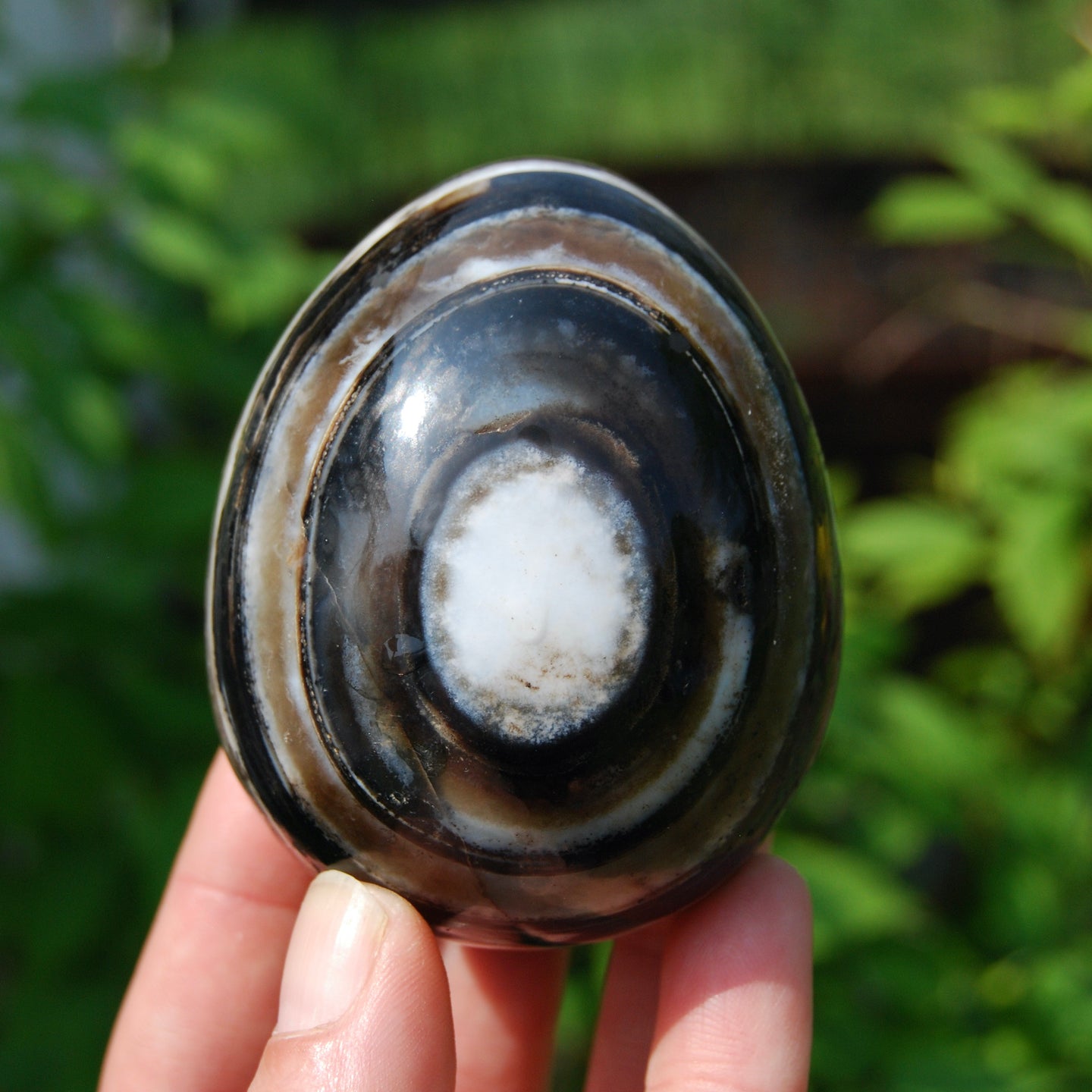Sulemani 'Eye of Shiva' Banded Sardonyx Crystal Egg